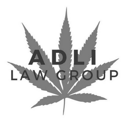 ADLI LAW GROUP logo