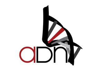 ADN logo