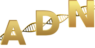 ADN logo
