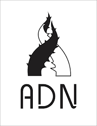 ADN logo