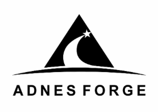 ADNES FORGE logo