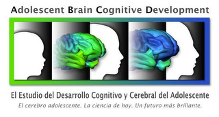 ADOLESCENT BRAIN COGNITIVE DEVELOPMENT EL ESTUDIO DEL DESARROLLO COGNITIVO Y CEREBRAL DEL ADOLESCENTE EL CEREBRO ADOLESCENTE. LA CIENCIA DE HOY. UN FUTURO MÁS BRILLANTE. logo