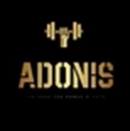 ADONIS logo