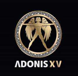 ADONIS XV logo