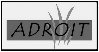 ADROIT logo
