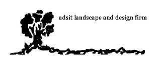 ADSIT LANDSCAPE AND DESIGN FIRM logo