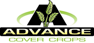 ADVANCE COVER CROPS logo