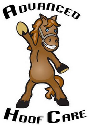 ADVANCED HOOF CARE logo