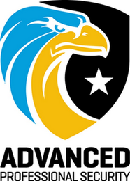 ADVANCED PROFESSIONAL SECURITY logo