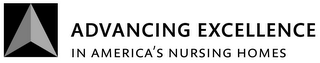 ADVANCING EXCELLENCE IN AMERICA'S NURSING HOMES logo