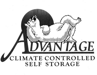 ADVANTAGE CLIMATE CONTROLLED SELF STORAGE logo