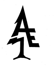 AE logo