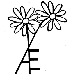 AE logo