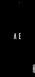 AE logo