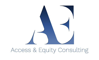 AE ACCESS & EQUITY CONSULTING logo
