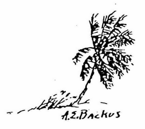 A.E. BACKUS logo