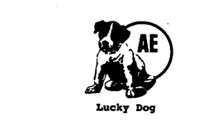 AE LUCKY DOG logo