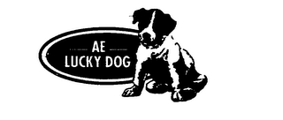 AE LUCKY DOG logo
