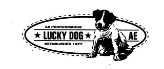 AE PERFORMANCE LUCKY DOG AE ESTABLISHED 1977 logo