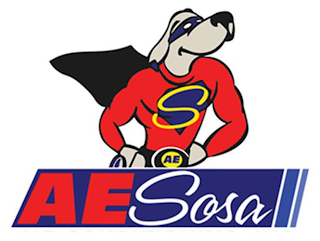 AE S A E SOSA logo