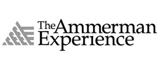 AE THE AMMERMAN EXPERIENCE logo