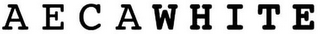 AECAWHITE logo