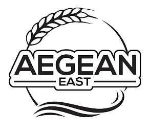 AEGEAN EAST logo