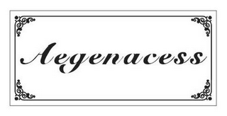 AEGENACESS logo