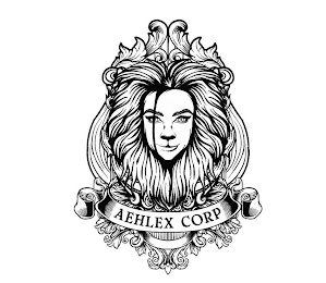 AEHLEX CORP logo