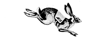 AEI logo
