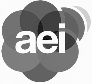 AEI logo