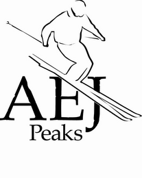 AEJ PEAKS logo