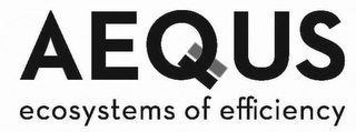 AEQUS ECOSYSTEMS OF EFFICIENCY logo