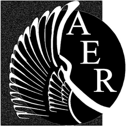 AER logo