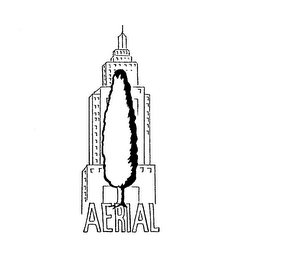 AERIAL logo