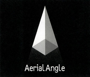 AERIAL ANGLE logo