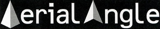 AERIAL ANGLE logo