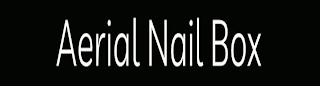 AERIAL NAIL BOX logo