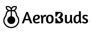 AERO3UDS logo