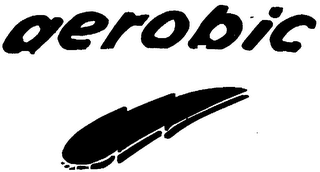 AEROBIC logo