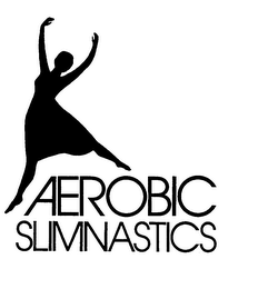 AEROBIC SLIMNASTICS logo