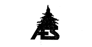 AES logo