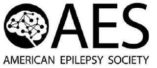 AES AMERICAN EPILEPSY SOCIETY logo