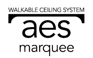 AES MARQUEE WALKABLE CEILING SYSTEM logo