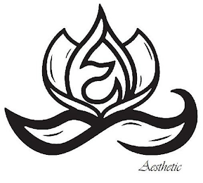 AESTHETIC logo