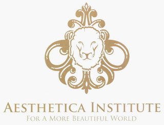 AESTHETICA INSTITUTE FOR A MORE BEAUTIFUL WORLD logo