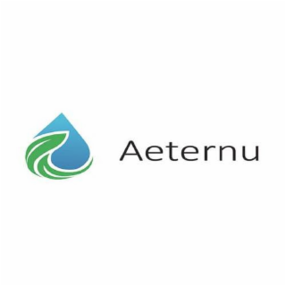 AETERNU logo
