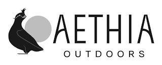 AETHIA OUTDOORS logo