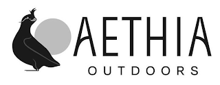 AETHIA OUTDOORS logo