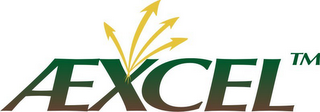 AEXCEL logo